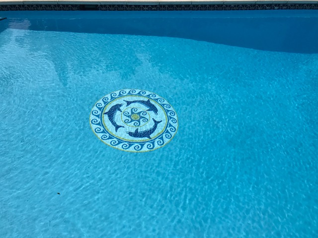 Pool Pianted with Ultra Poly One Coat, with Chasing Dolphins Graphic Mosaic Mat.